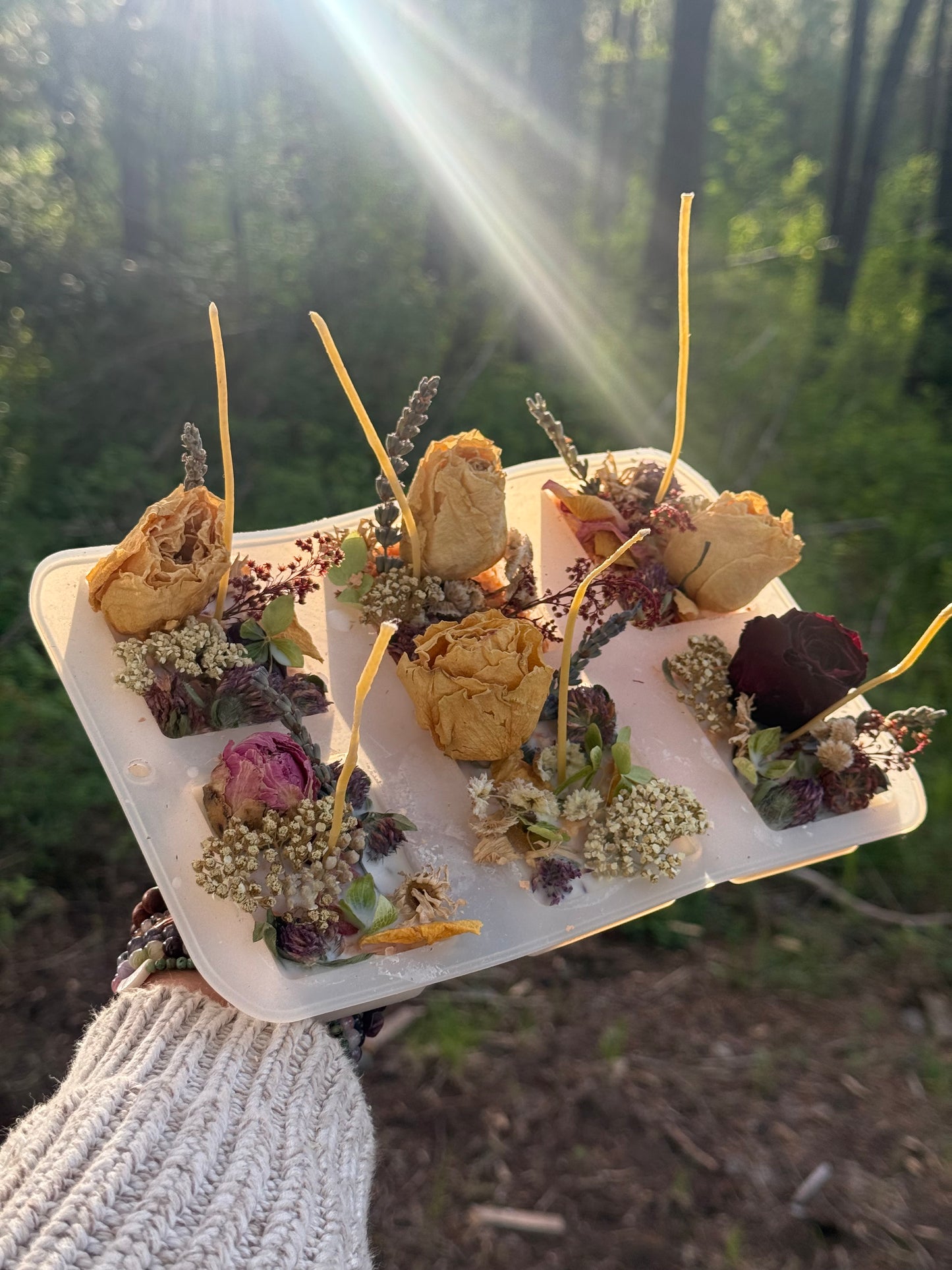 ‘Summer Solstice’ Botanical Fire Starters (gift box, set of 4)