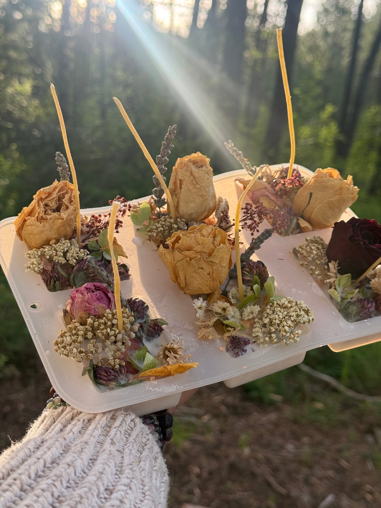 ‘Summer Solstice’ Botanical Fire Starters (gift box, set of 4)